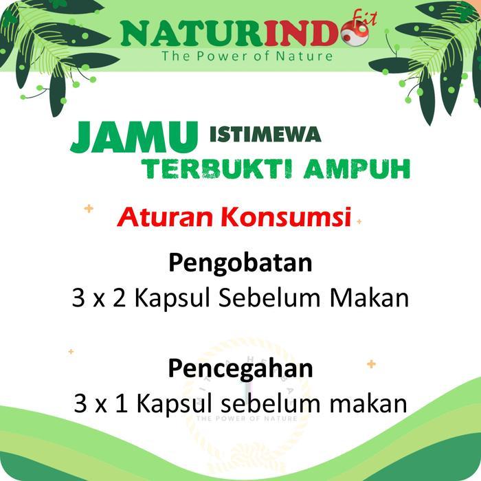 Obat Bau Mulut Mucosafit Solusi Obat Bau Mulut Menahun Naturindoherbal Tbk
