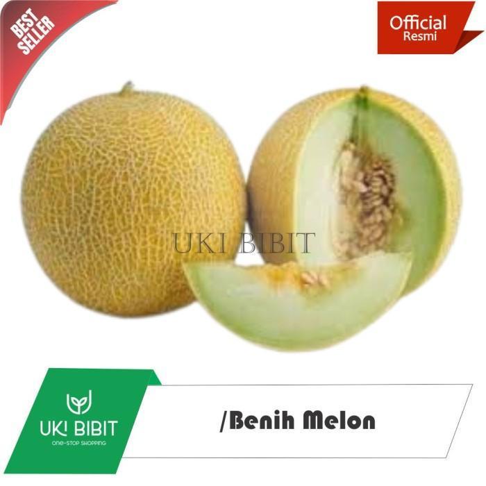 EKSLUSIF ( 10 Butir ) Benih Biji Melon Madu Melon Manis Melon Musk