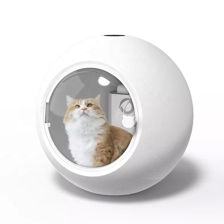 Puppy Cat Pet Beauty Hair Dryer Clinical Pet Hair Dryer Box Household Pet Hair Dryer New