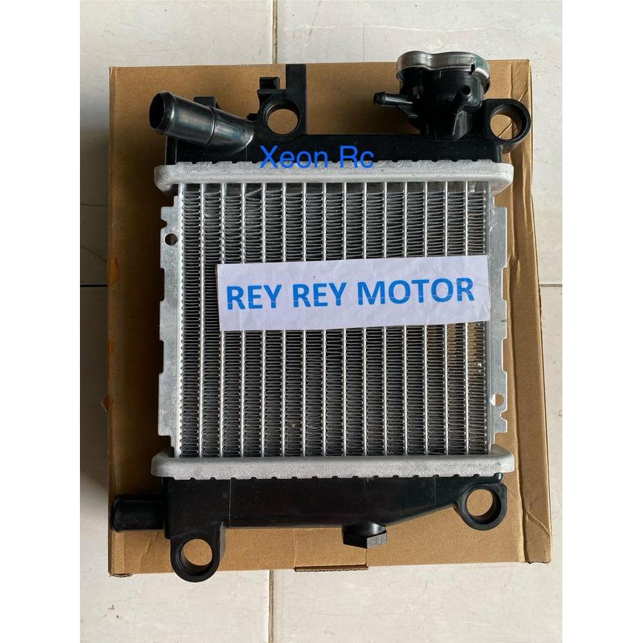 Radiator Xeon RC/XEON 125/MIO GT 125+Tutup Radiator