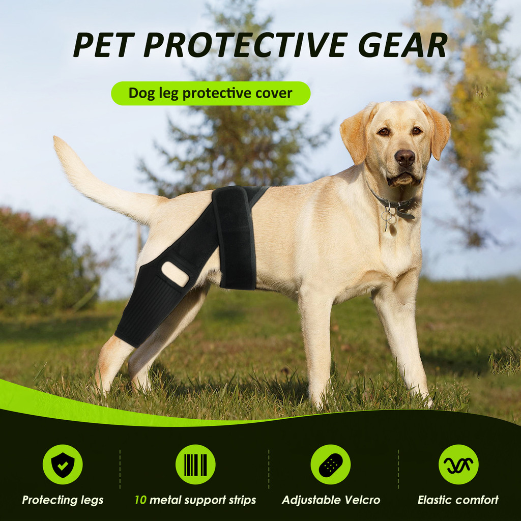 Pet Knee Brace Adjustable Comfortable Dog Leg Hip Brace Support Bar for Dog Hip Luxating Patella