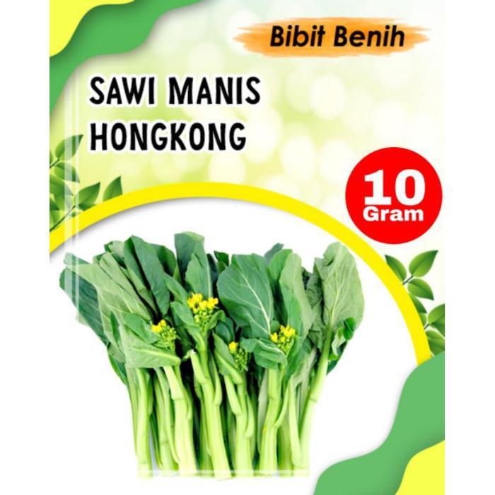 TERBAIK 10 gram Benih caisim hongkong - bibit sawi manis hongkong - benih sayuran