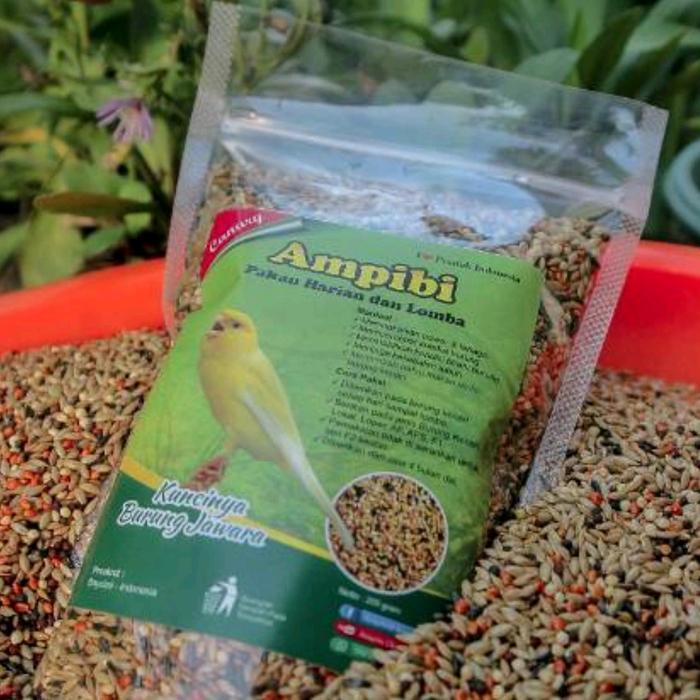 Ampibi Pakan Kenari Lomba Pakan Kenari Harian