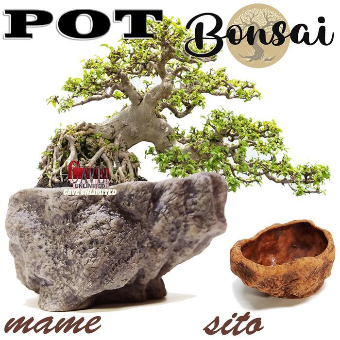 Pot Tanaman Hias Bonsai Mame Sito Relief Anting Putri Kemuning Sancang