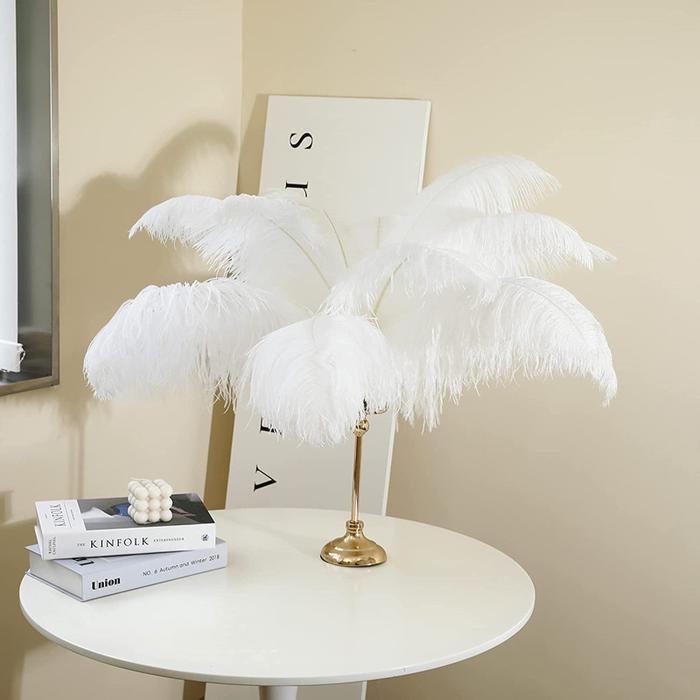 Promo 100% Bulu Burung Ostrich Asli Bulu Ostrich Feather 35-45Cm Terjamin