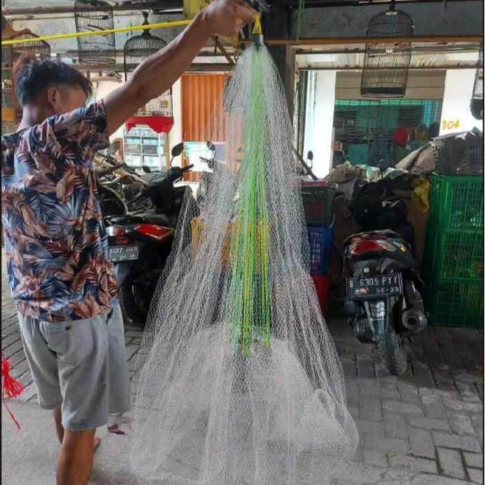 Jala Lampung, Jala Sampling, Jala Udang, Jala Model Kolor