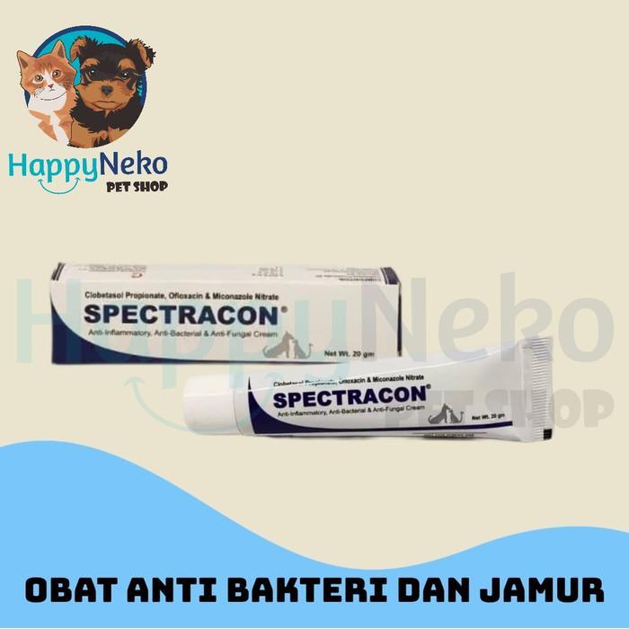 Salep Jamur Anjing - Spectracon - Obat Jamur Anjing
