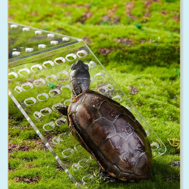 YEE Turtle Basking Platform Adjustable Floating Dock for Deep Water Tanks for Razorback Musk