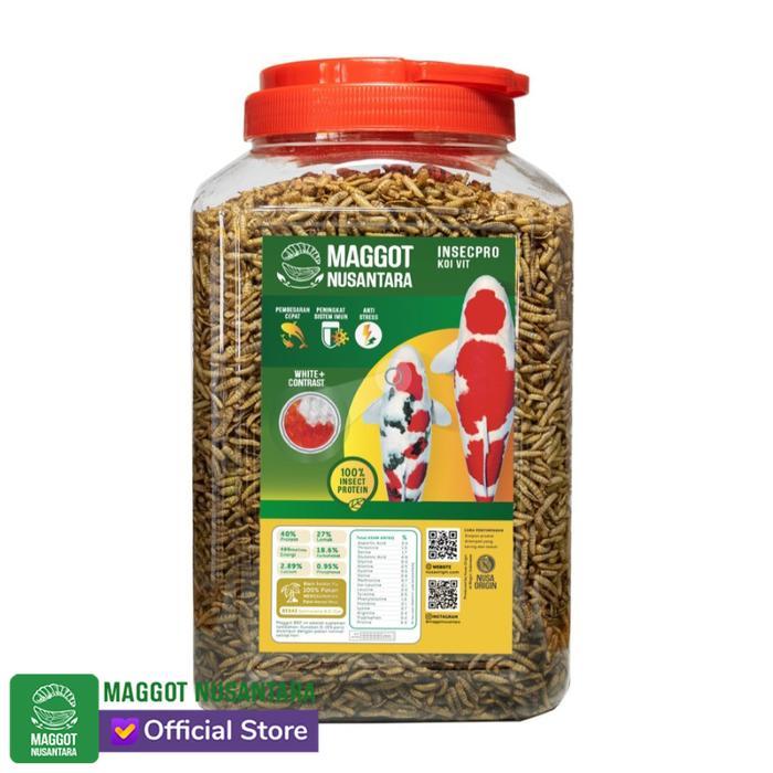 TERLARIS Maggot Nusantara Koi 500 Gr gratis ongkir