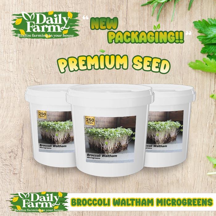 Benih Sayur Microgreen Broccoli waltham