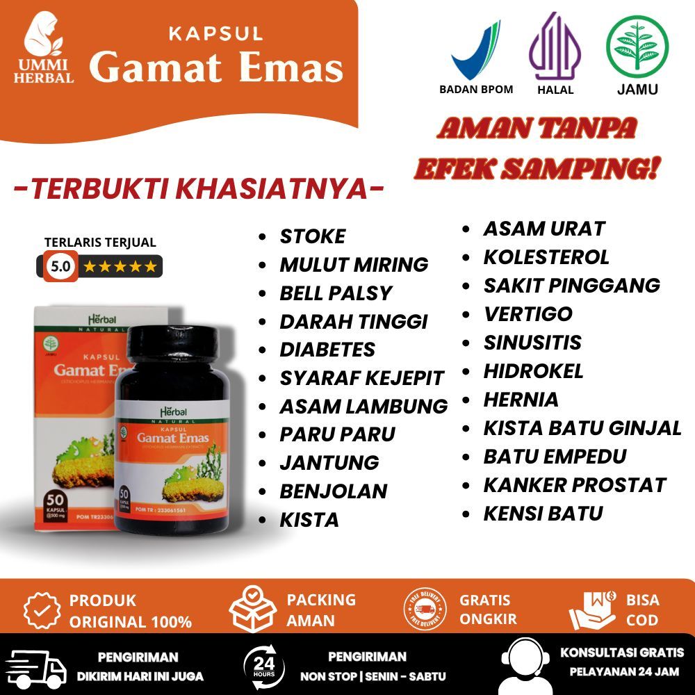 Obat Hernia Turun Berok Mr P Bengkak Varikokel | kapsul Gamat Emas 50 Kapsul Original PALING AMPUH N