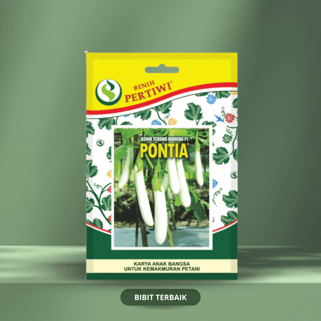 Benih Terong Putih Pontia (250 Biji) - Benih Pertiwi