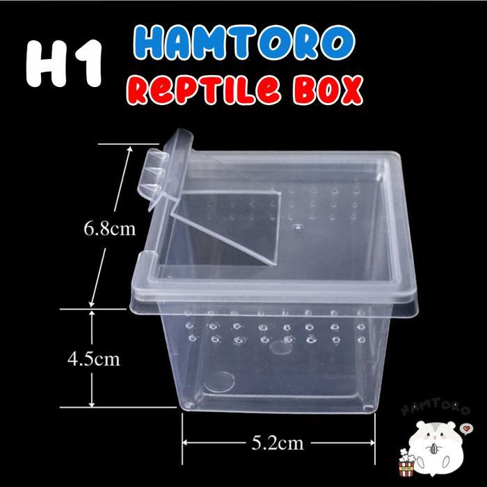 Hamtoro Gecko Box Kandang Besar Feeding Hamster/Reptil/Gecko Box Hamster