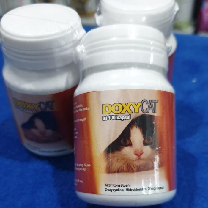 Doxy Cat Im Organix / Obat Flu Kucing Doxy Cat Terlaris