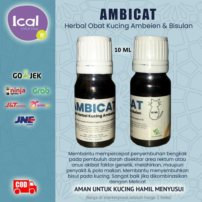 Ambicat Obat Herbal Kucing Ambeien Wasir Bisulan New