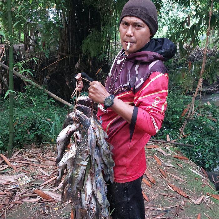 Umpan Pancing Kucur Super Kacong Steven Production, Yg Diracik Oleh Pakar Yg Berpengalaman, Dan