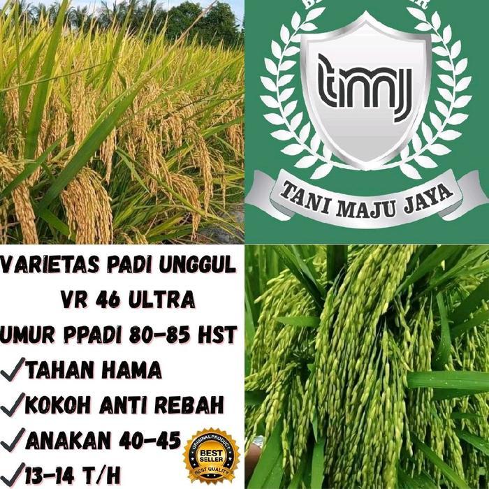 Terlaris Bibit Padi Benih Padi Unggul Varietas Vr 46 Ultra Kemasan 5 Kg Tanaman Pupuk -Gratisongkir