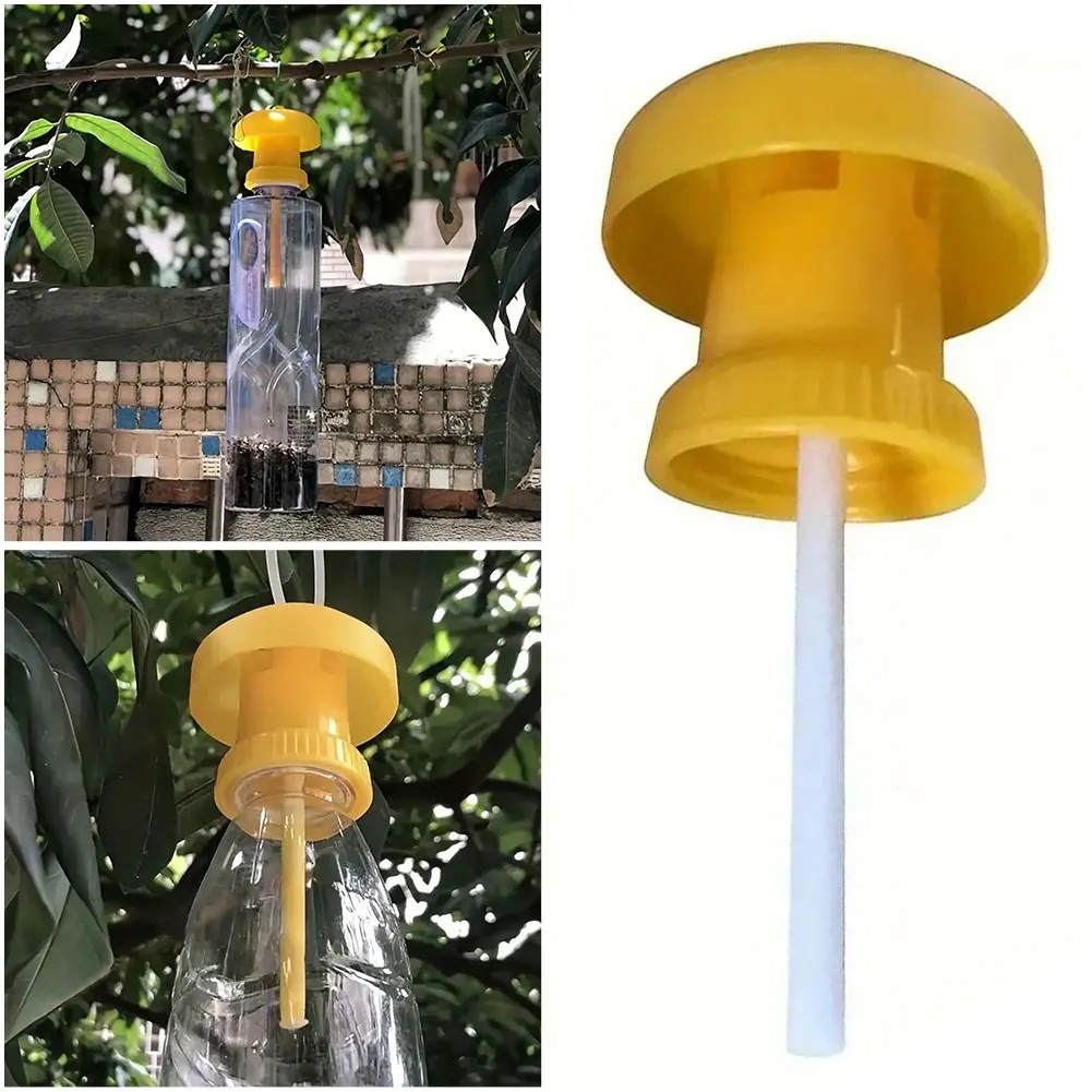 Plastic Fruit Fly Trap Killer Drosophila Trap Anti Fly Fruit Fly Killer Catcher Pest Control Insect 