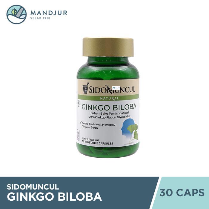 Sido Muncul Ginkgo Biloba 30 Kapsul
