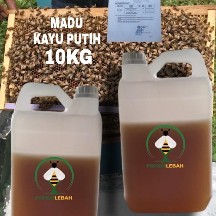 Madu asli nektar kayu putih 10 kg