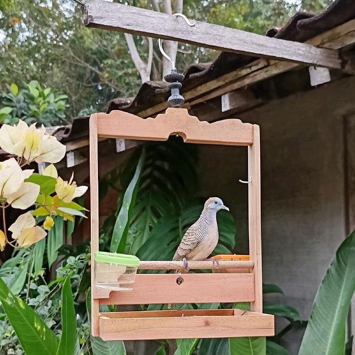 Sangkar Layang Burung Kutilang Trucuk Perkutut Sangkar Penjinakan Pikat Kutilang Harian Pasti Promo