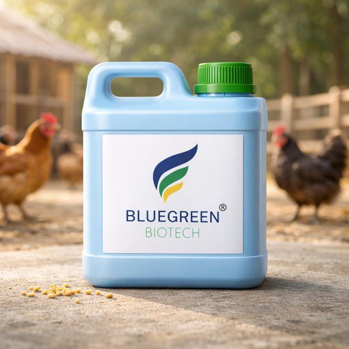 Promo Probiotik Ayam Kampung Bluegreen Biotech