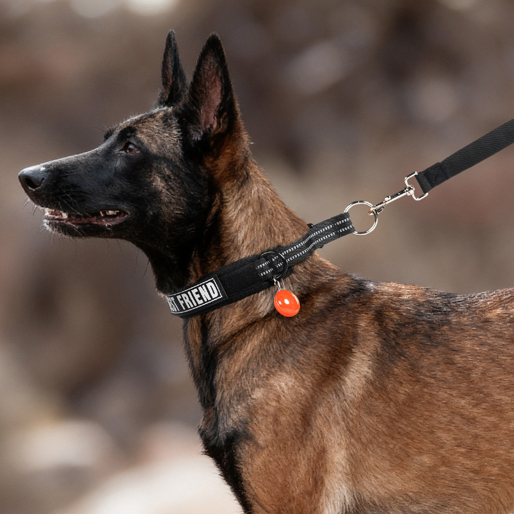 Reflective Slip Dog Collar, Nylon Rope Adjustable Collar with Soft Padded for Pet Training Loop Dog