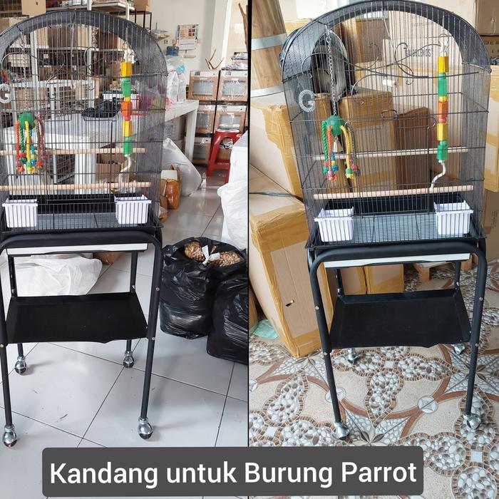 Kandang Burung Parkit Lovebird Sun Conure Falk Dll Pasti Promo