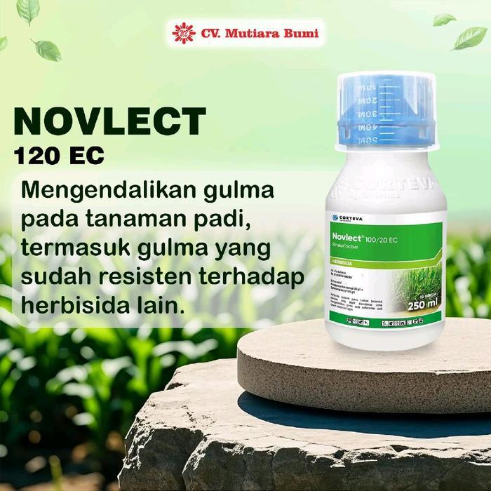 Terlaris Herbisida Novlect 120 Ec 250Ml 500Ml Obat Pengendali Rumput Gulma Pada Tanaman Padi