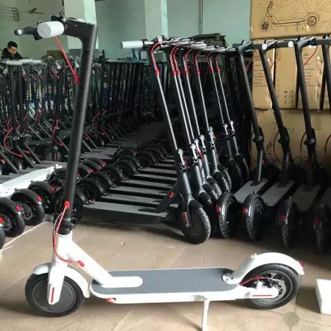 Skuter Listrik 10 inch Anak dan Dewasa Garansi - 8,5inch Putih