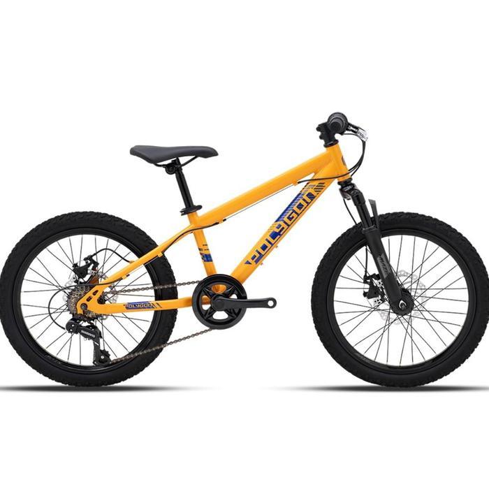 Sepeda Gunung Anak Polygon MTB 20 Maze