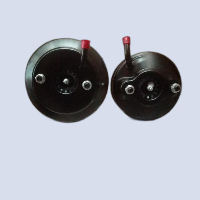 boster rem panther capsul 00-19