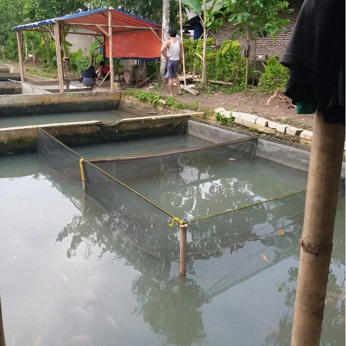 Keramba Waring Rk Triple 3M X 4M X 1.2M Hitam Jaring Ikan