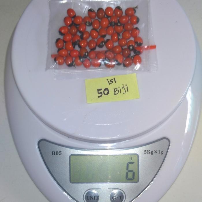 "New" BIJI SAGA RAMBAT MERAH BINTIK HITAM ISI 50 BIJI