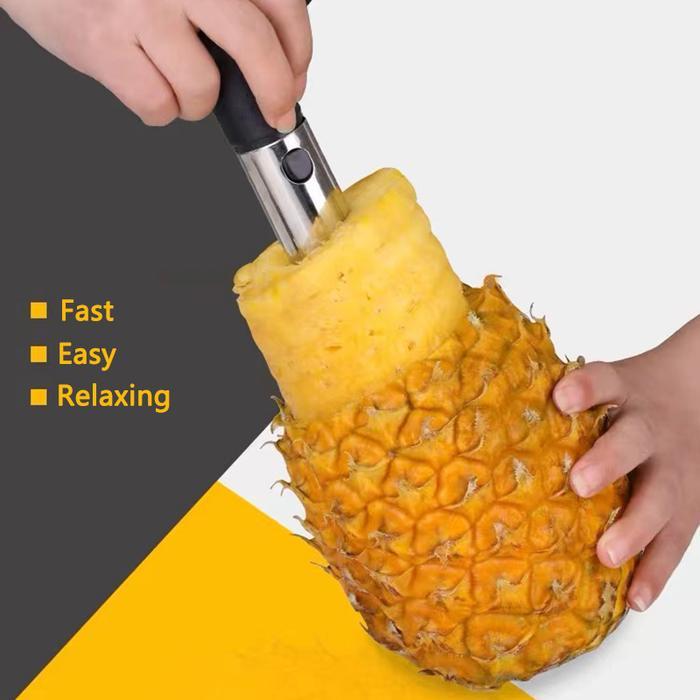 Practical Pineapple Cutter / Stainless Steel Pineapple Slicer / Pineapple Peeler Tool Terbaik