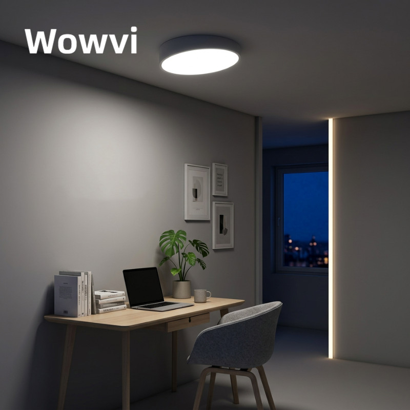 Wowvi LED Ceiling Light Modern Square Round Flush Mount Sloped Ceiling Attic Porch Aisle Corridor