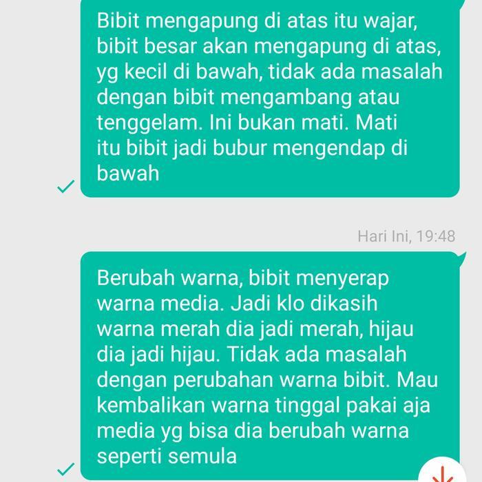 BEST SELLER PROMO BIBIT KEFIR WATER/BIBIT KRISTAL ALGA JEPANG