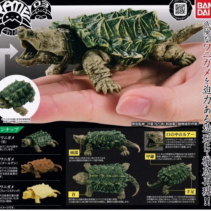 Kame Alligator Turtle Tortoise Dangomushi Gashapon Bandai Dango Mushi