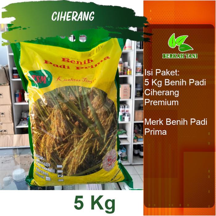 NEW Benih Padi Ciherang Premium Pak Tani 5 Kg