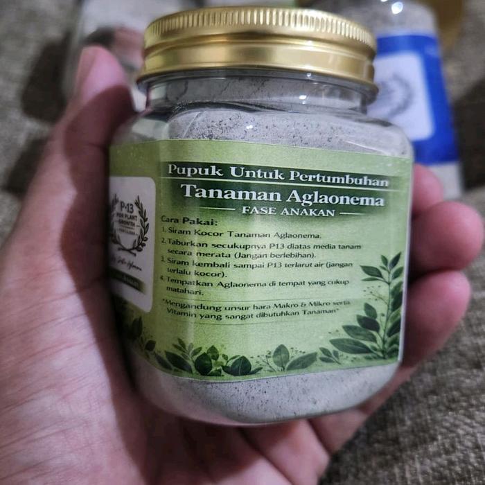 NEW PRODUCT PUPUK P13 UNTUK FASE ANAKAN OM JUSTIN