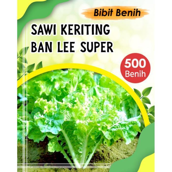 SPECIAL Bibit sayuran sawi keriting super - benih sawi keriting