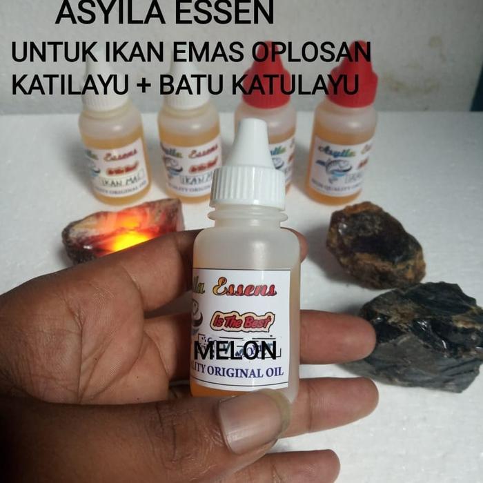 ESSEN IKAN MAS OPLOSAN MELON