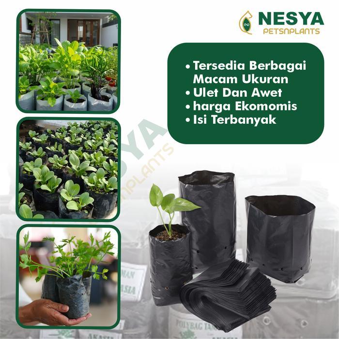 Best Seller Polybag 1 Ball 25Kg,Grosir Termurah Polibag Tanaman Ukuran 10X12 12X12 12X15 15X15 15X20