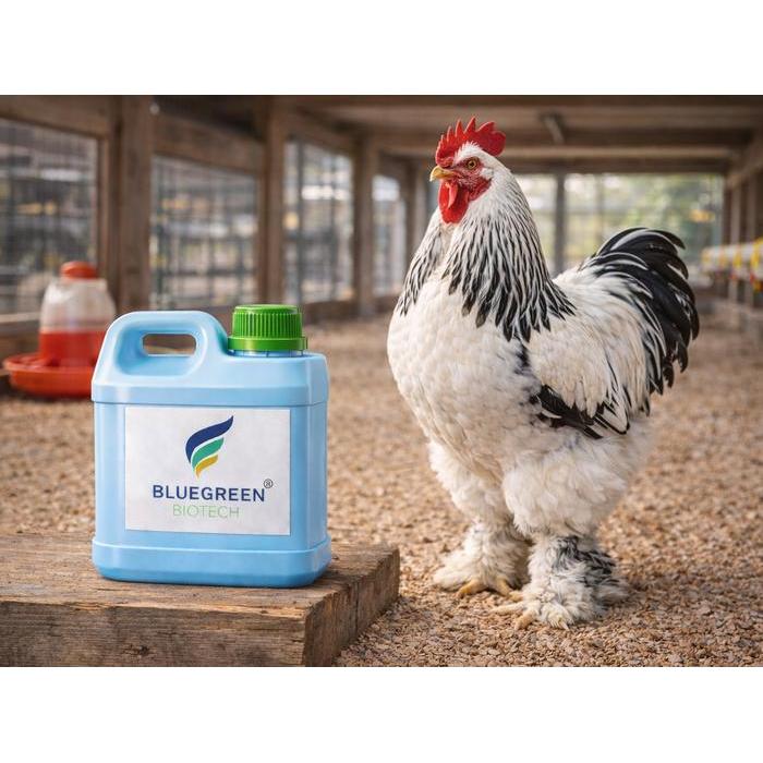 Promo Probiotik Anti Berak Kapur Ayam Bluegreen Biotech