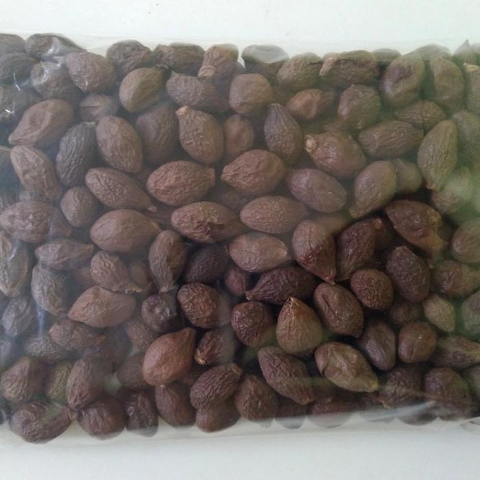 PROMO Buah Tempayang 100gr / Biji Kembang Semangkuk