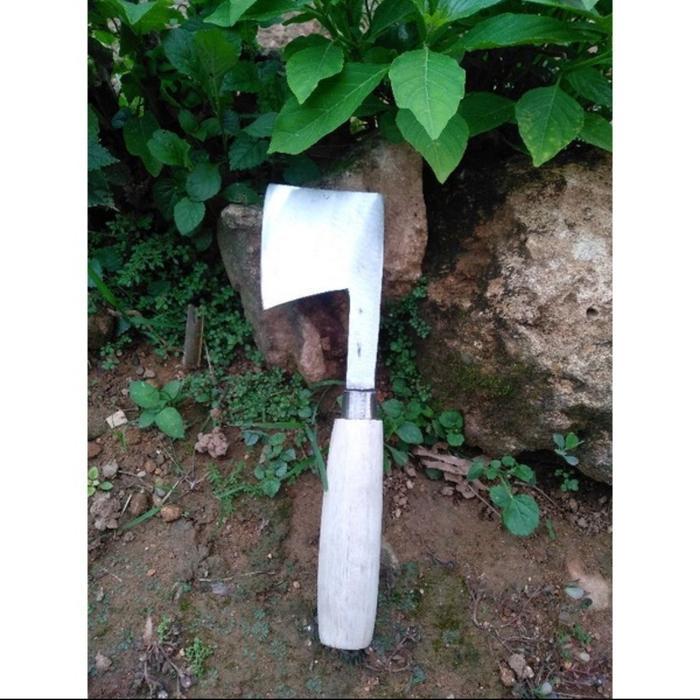 KAPAK KUPAS KELAPA TUA/ BATOK KELAPA ORI BAJA PIR MADURA MURAH