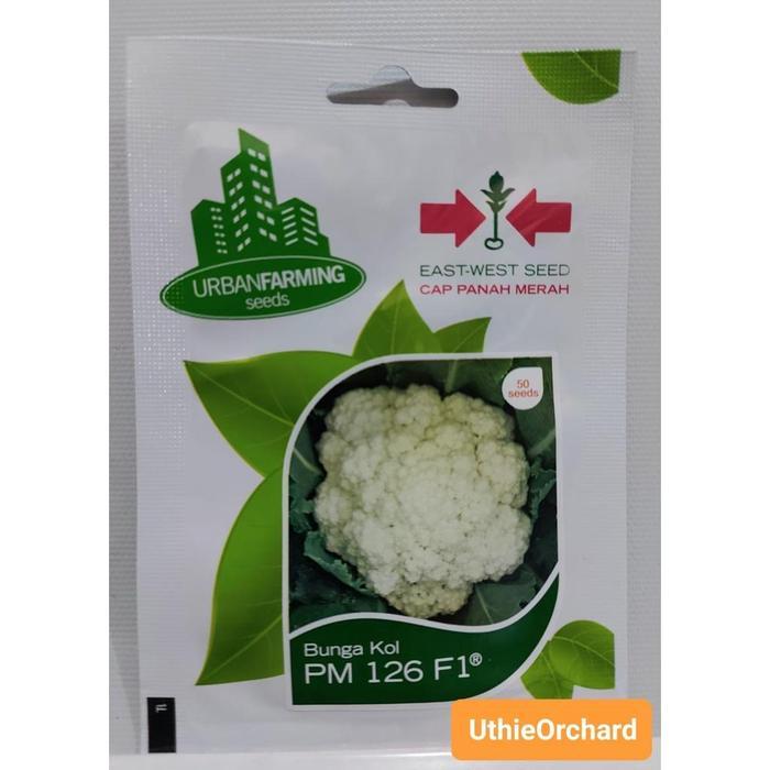 EKSLUSIF Benih Panah Merah - Bunga Kol PM 126 F1