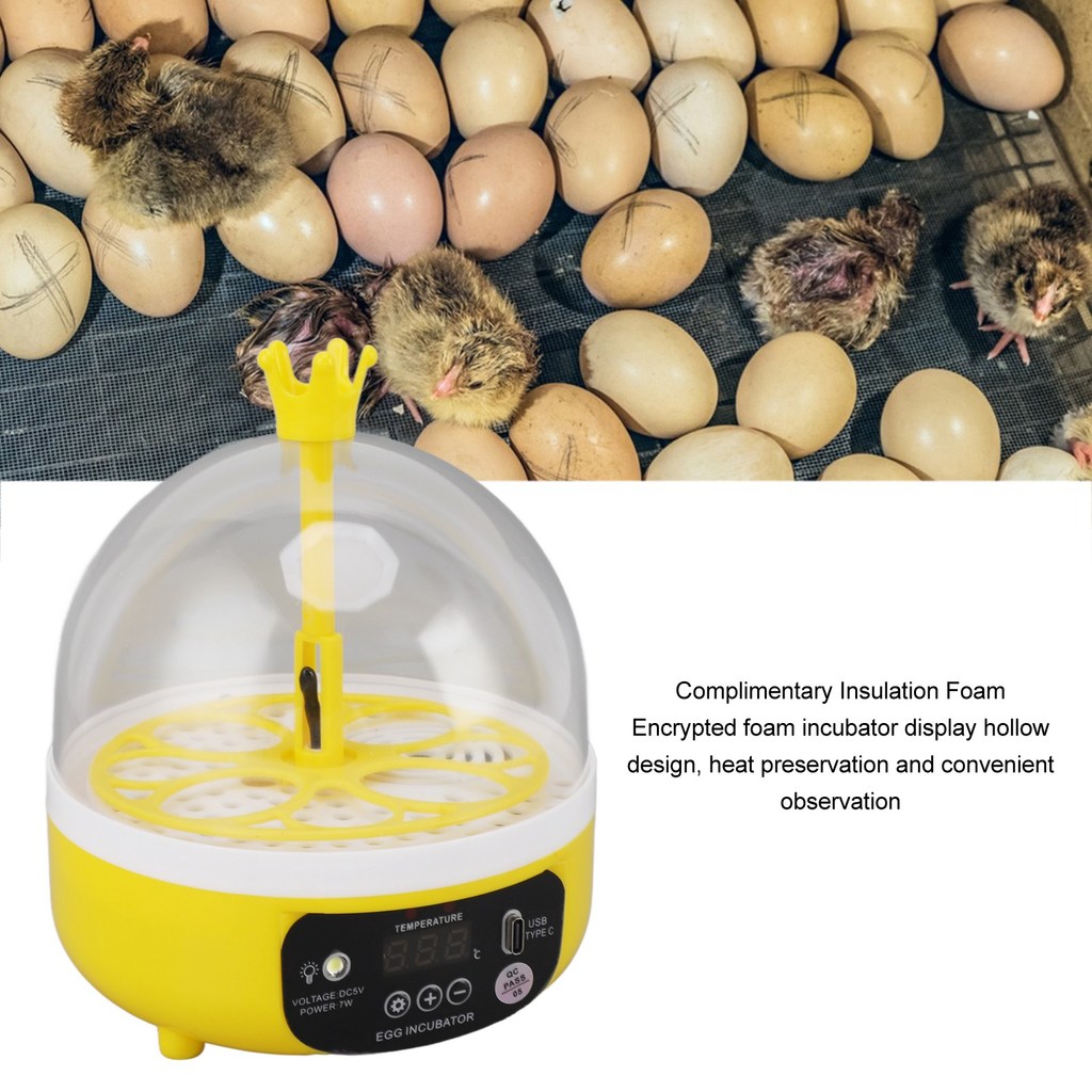 Mini Egg Incubator for Home Automatic Temperature Humidity Control 4 Eggs Candler Poultry Hatching M