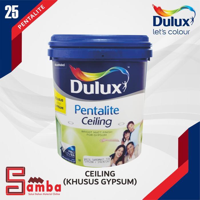DULUX PENTALITE CEILING 25 KG / CAT PLAFON / CAT GYPSUM