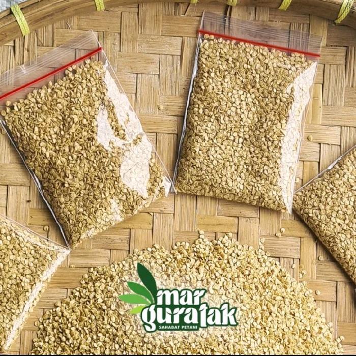 ASLI CMK LOKAL BATU GARUT 10 GRAM Mar Guratak READY STOCK